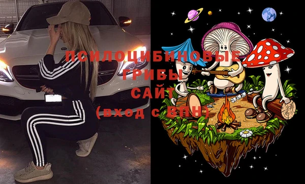 марки lsd Бородино